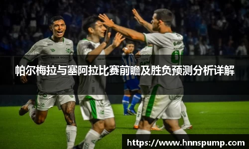 帕尔梅拉与塞阿拉比赛前瞻及胜负预测分析详解
